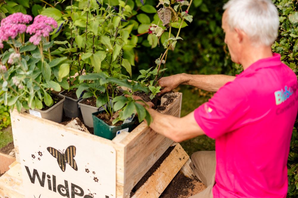 Terry Planting WildPod