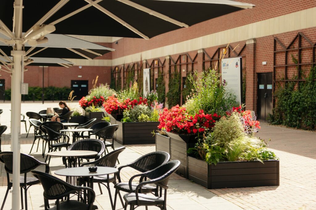 blog - international day of happiness