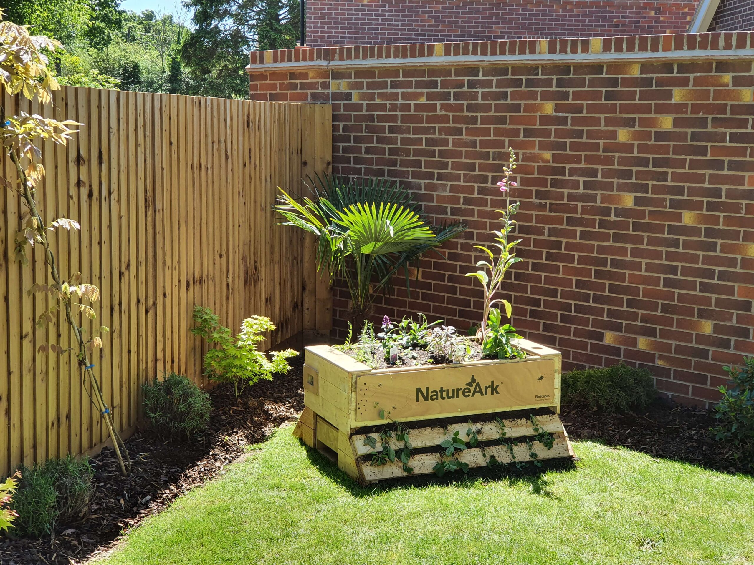 News -BioScapes partners with Taylor Wimpey