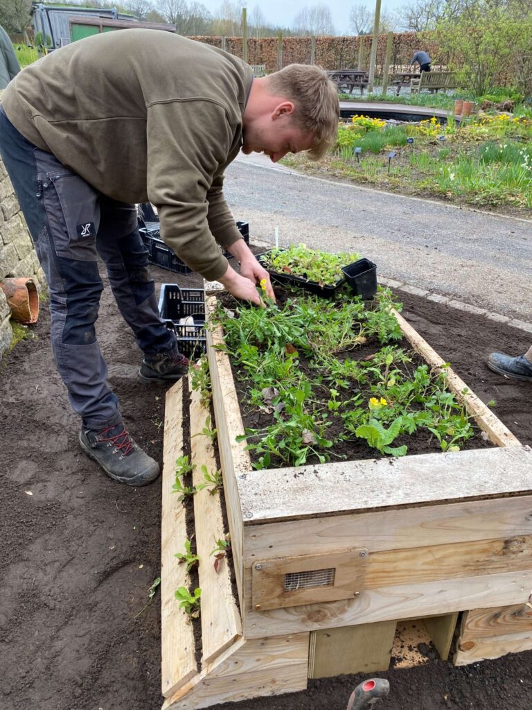 News - Planting up NatureArk at RHS Garden Harlow Carr
