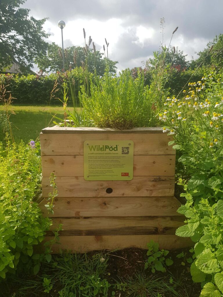 News - WildPod at UWE