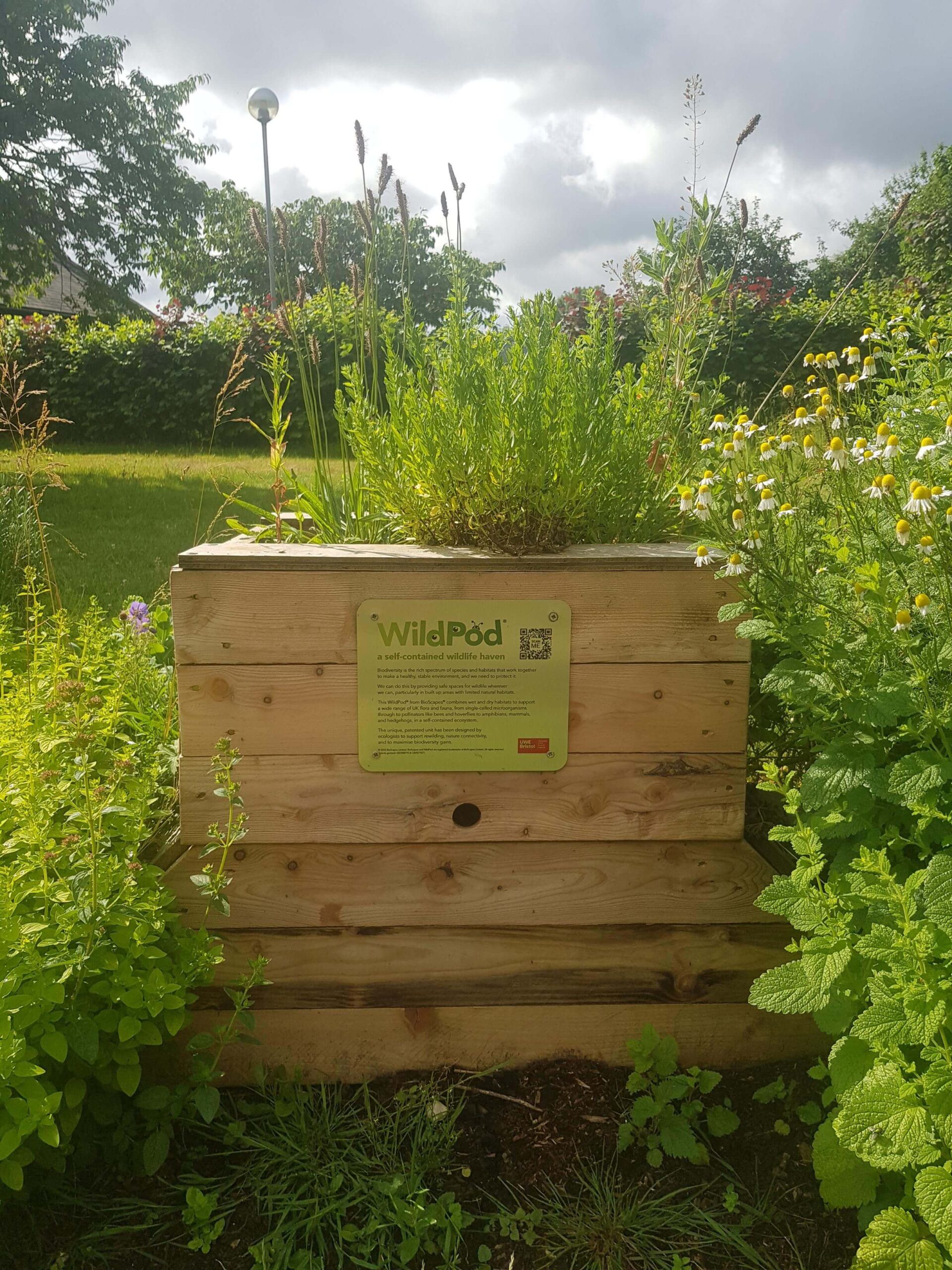 News - WildPod at UWE