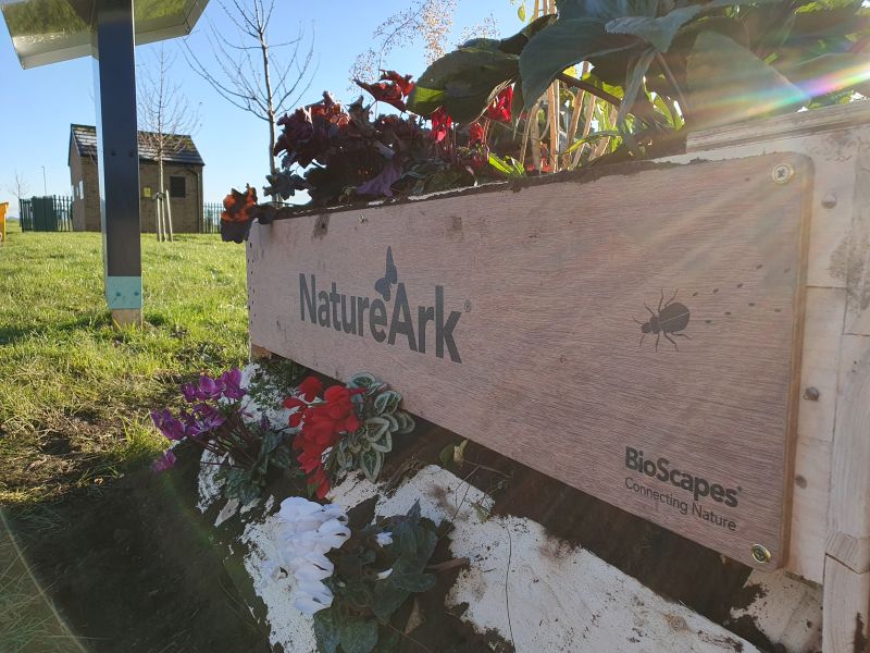 NatureArk at Tilia Homes Development