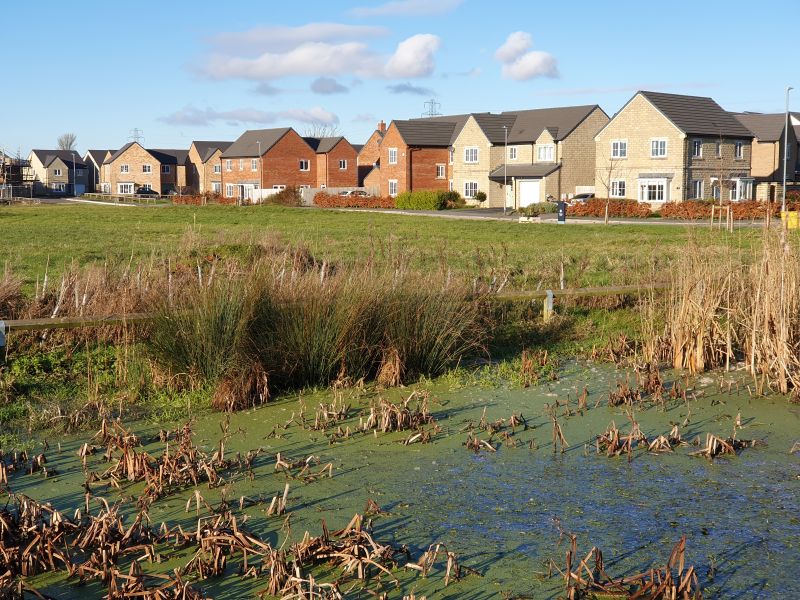 Tilia Homes Development, Longridge, Preston