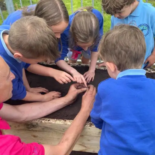 Children exploring vertebrates in a BioScapes NatureArk - School Community Donation Project