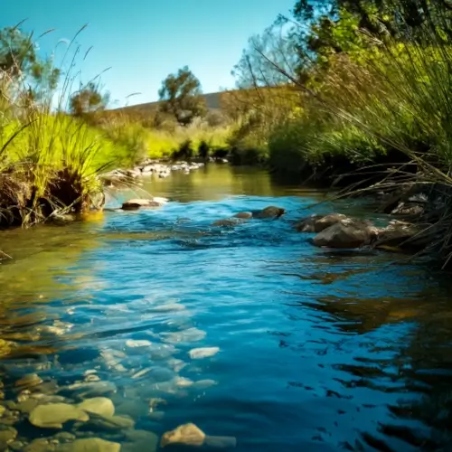 Close-up of a chalkstream water running perfectly clear with blue sky on a sunny day