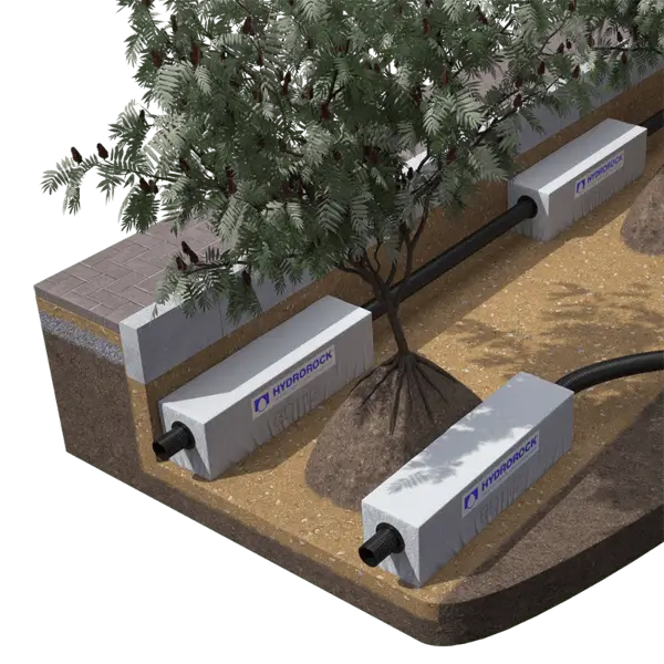 Aquifer blocks installed to irrigate trees