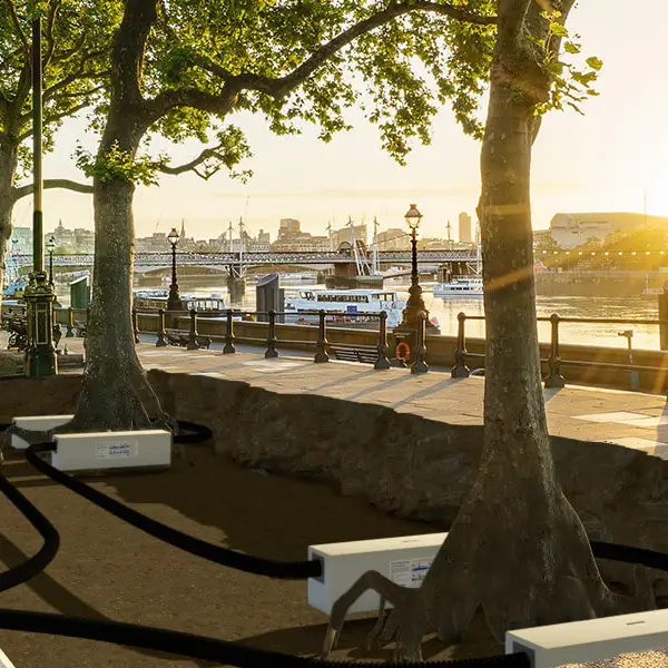 Tree-pit-Hydrorock Render Square