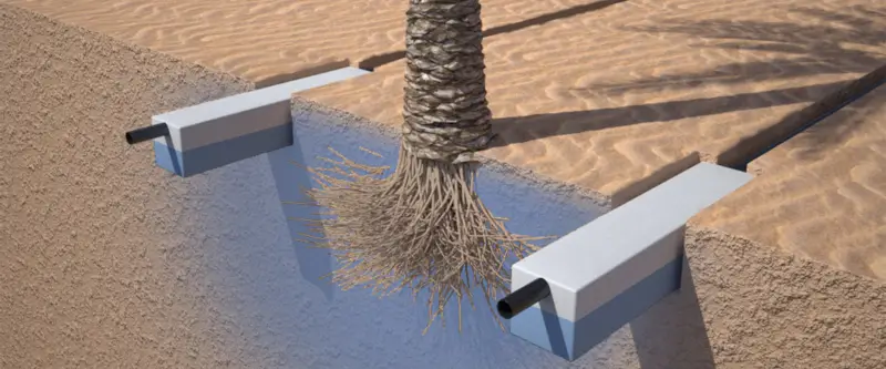 Hydrorock plant and tree pit irrigation diagram