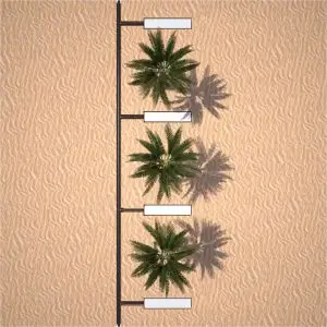 In parallel, with two elements per tree and connected to lateral pipe