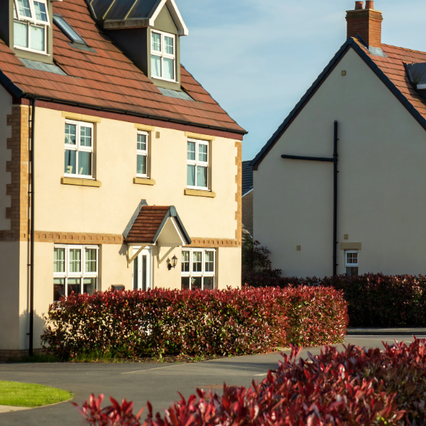 an image of several modern houses on a reasonably new houses