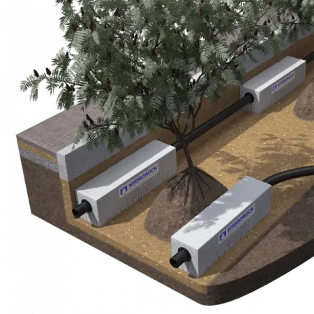 Aquifer blocks installed to irrigate trees