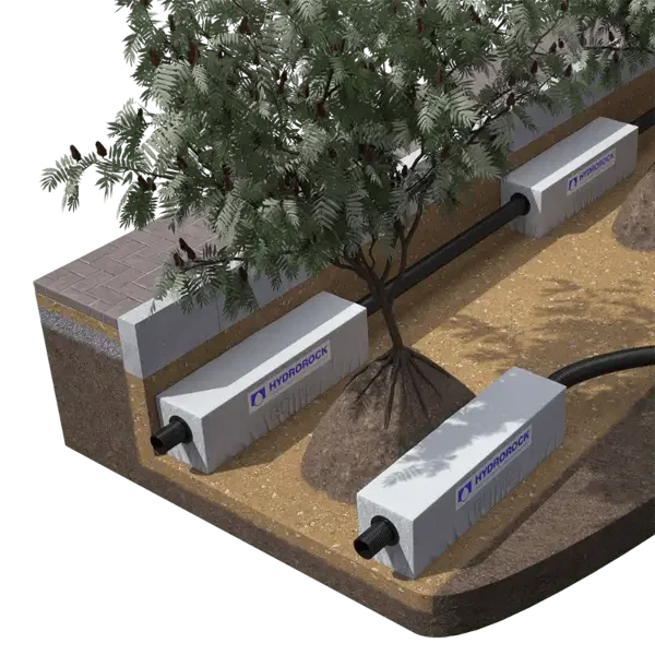 Aquifer blocks installed to irrigate trees