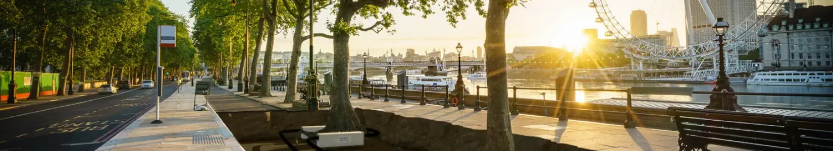 Tree Pit Hydrorock Render in London with London Eye along the Thames